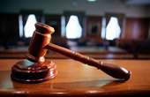 Тбилисский суд заочно осудил гражданина Турции на пожизненный срок по делу о транзите жидкого героина