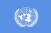 Генассамблея ООН приняла очередную резолюцию по беженцам в Грузии