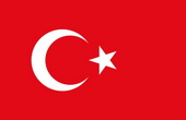 Турция решительно осуждает попытку переворота в Армении